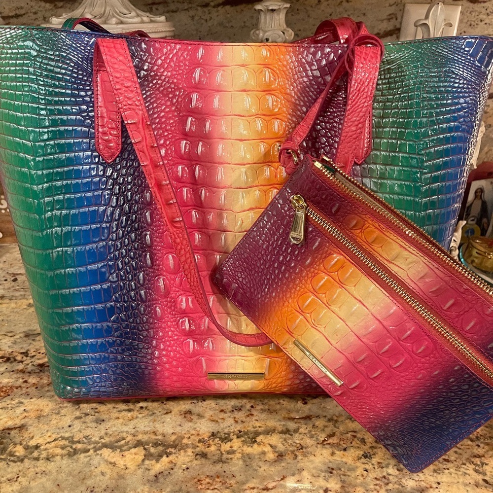 Brahmin Multicolor Crocodile Embossed Tote and Pouch